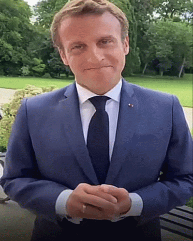 President Of France Emmanuel Macron Smiling GIF