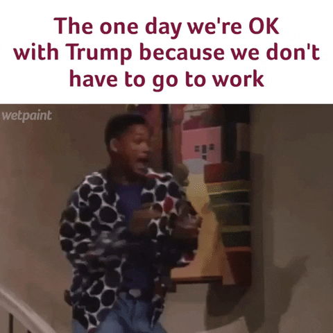 Presidents Day Trump Meme GIF