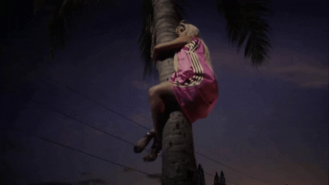 Pretty Lady Hanging On Palm Tree GIF