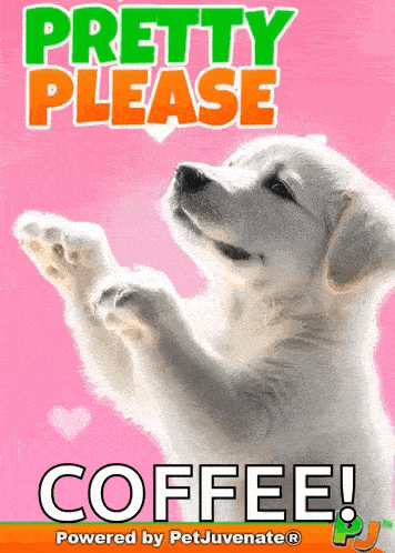 Pretty Please I Beg You Petjuvenate Funny Cute Gif Dog Mom Beg Pup Begging Puppy Cute Doggo Hooman Fren Boop Blep Gif GIF