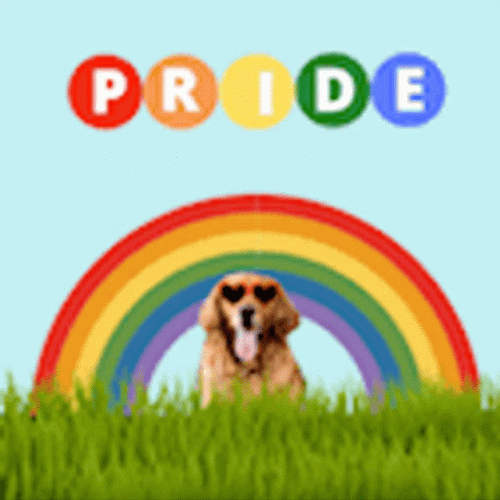 Pride Dog Rainbow GIF