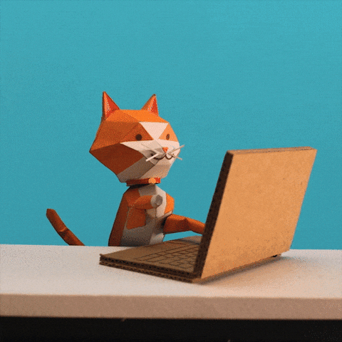 Prime Day Cat On A Laptop GIF