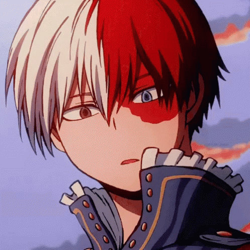 Prince Shoto Todoroki GIF