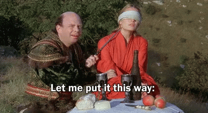 Princess Bride Morons GIF