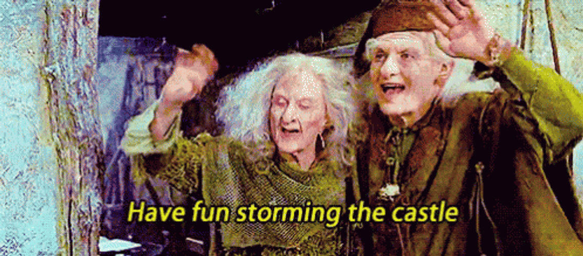 Princess Bride Have Fun Storming The Castle GIF