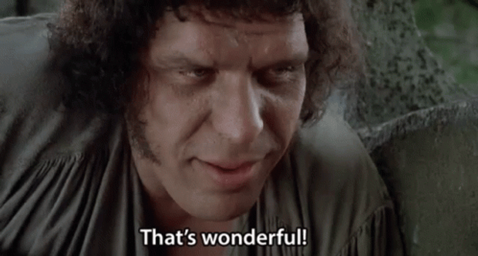 Princess Bride That's Wonderful GIF