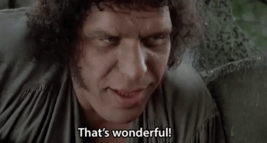 Princess Bride That's Wonderful GIF