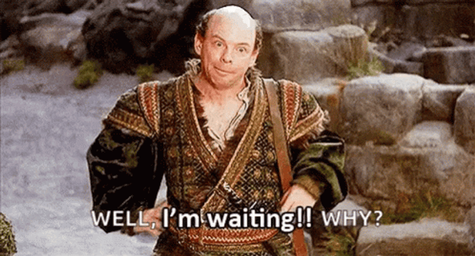 Princess Bride Well I'm Waiting GIF