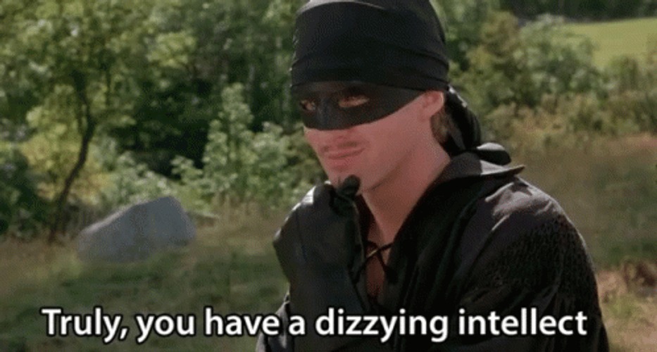 Princess Bride You Have Dizzying Intellect GIF