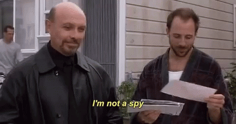Princess Diaries Joe Im Not A Spy GIF