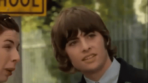 Princess Diaries Lilly And Michael Moscovitz GIF