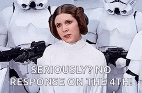 Princess Leia Standing Before Stormtroopers
