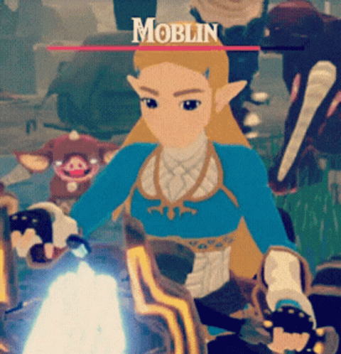 Princess Zelda Totk GIF