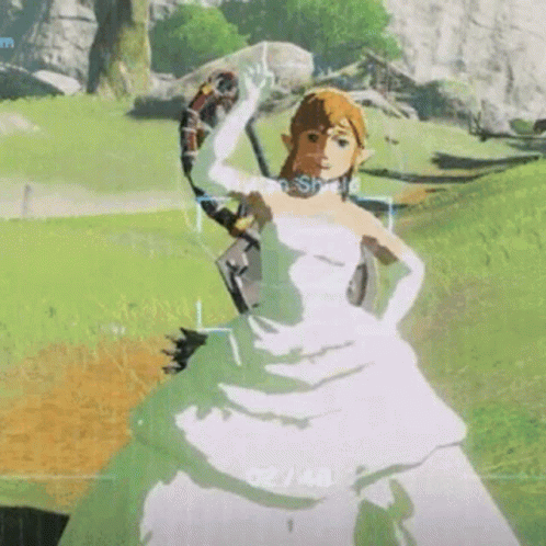 Princess Zelda With Bow GIF