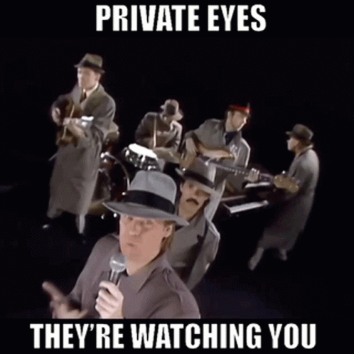 Private Eyes Always Watching GIF