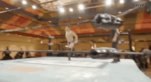 Pro Wrestling Stunt GIF