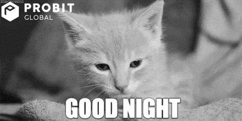 Probit Global Goodnight Cat GIF