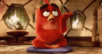 Problematic Angry Bird Tired Tuesday GIF