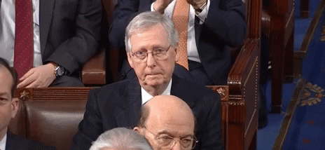 Problematic Mitch Mcconnell Turtle GIF