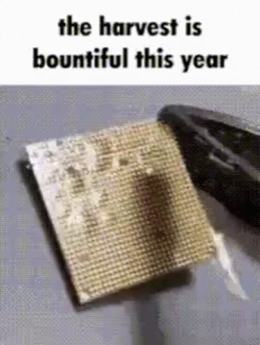 Processor Harvest Is Bountiful GIF