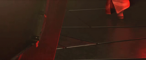 Prodigy Cat With His Amazing Reaction GIF