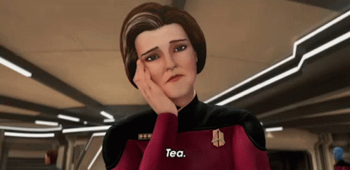 Prodigy Kathryn Janeway Asking For Tea GIF