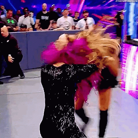 Professional Wrestle Girls Fighting GIF