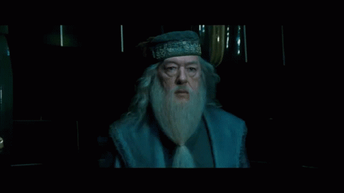 Professor Dumbledore And Lord Voldemort GIF