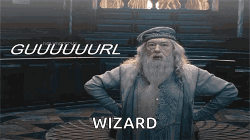 Professor Dumbledore Wizard GIF
