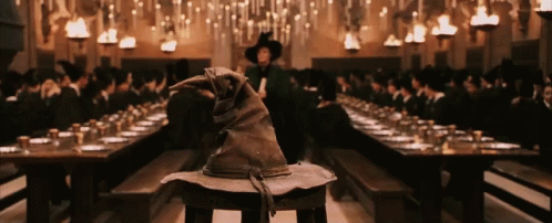 Professor Maggie Smith Sorting Hat GIF