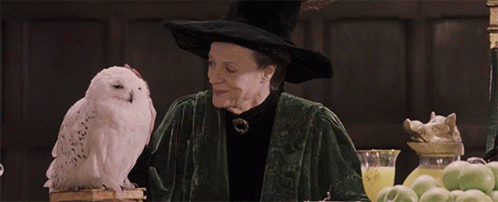 Professor Minerva Mcgonagall Maggie Smith Smiling GIF