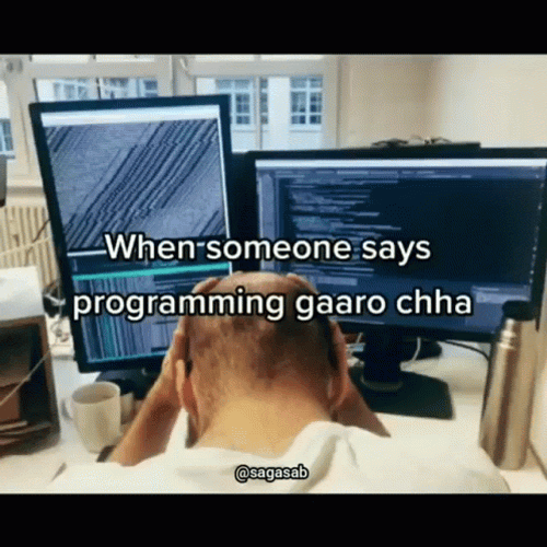 Programming Balen Meme GIF