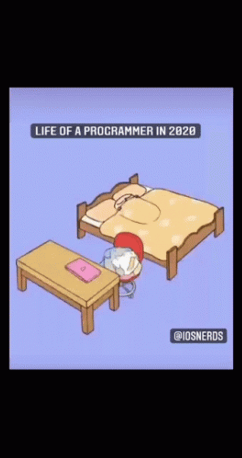 Programming Developer Day And Night Life GIF