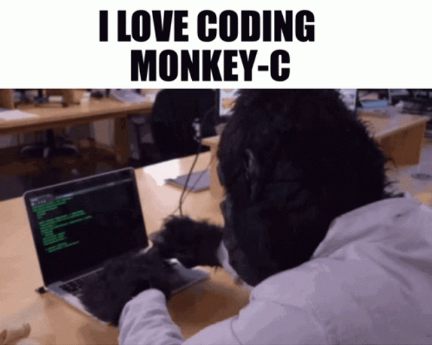 Programming Monkey-c Typing Codes GIF