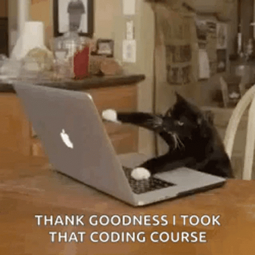 Programming Typing Cat Meme GIF