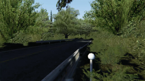 Project Cars 2 Race Video Game GIF
