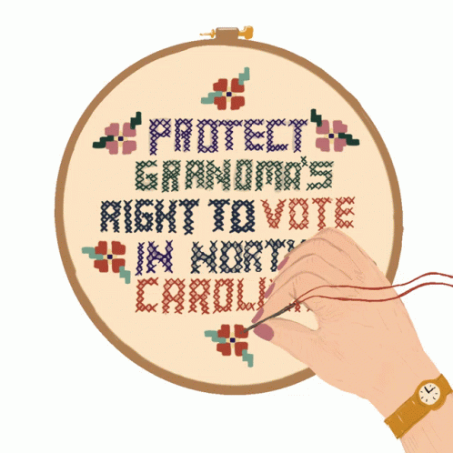 Project Grandma's Right To Vote Senior Citizen GIF