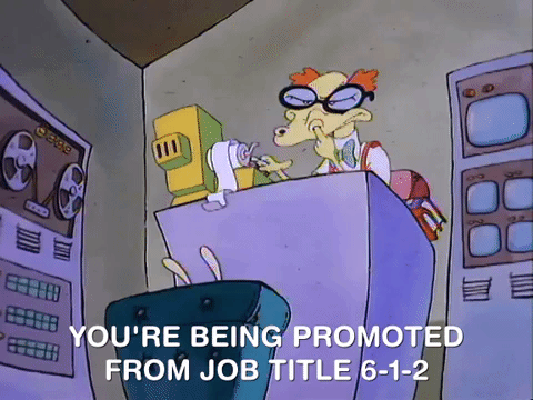 Promoted Nicktoon Rocko's Modern Life GIF