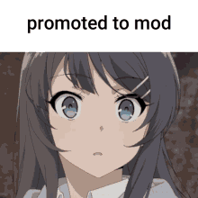 Promoted To Mod Sakurajima Mai Anime GIF