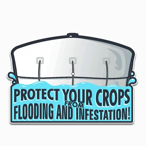 Protect Your Crops GIF