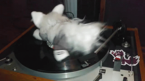 Protogen Spinning On A Turntable GIF