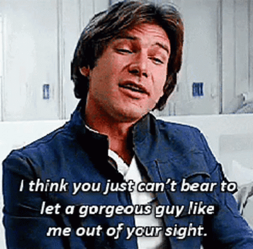 Proud Han Solo Gorgeous Guy Like Me GIF