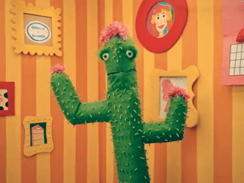 Proud Of You Cactus Tv Show GIF