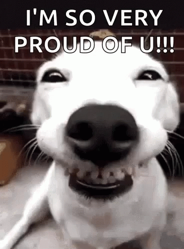 Proud Of You Mischievous Puppy Smile GIF