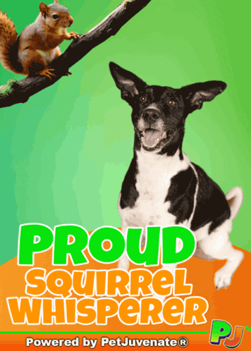 Proud Squirrel Whisperer Dog and Squirrel