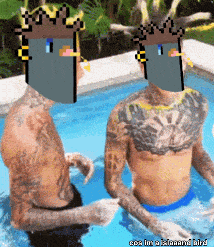 Pruu Inscripigeons Gif GIF