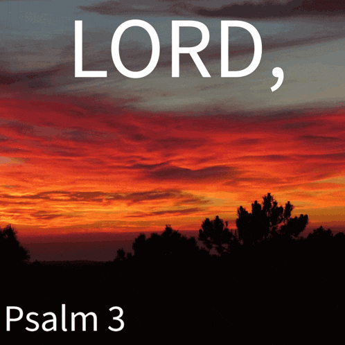 Psalm Psalms Gif GIF