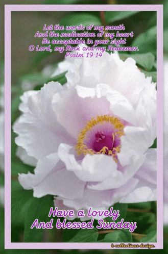 Psalms 19:14 Bible Verse Good Morning Blessings GIF