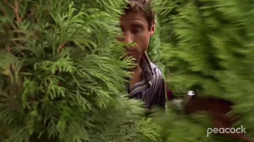 Psych Gus And Shawn Hilarious Hideout Behind Plant GIF