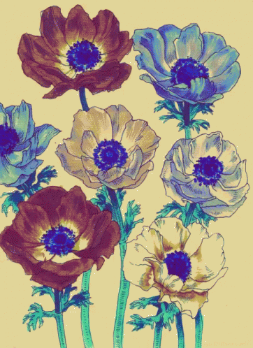 Psychedelic Flowers GIF